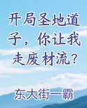 开局圣地道子，你让我走废材流？小说影视剧