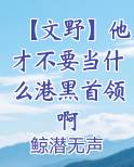 [文野]论与港黑干部撞脸的可能性
